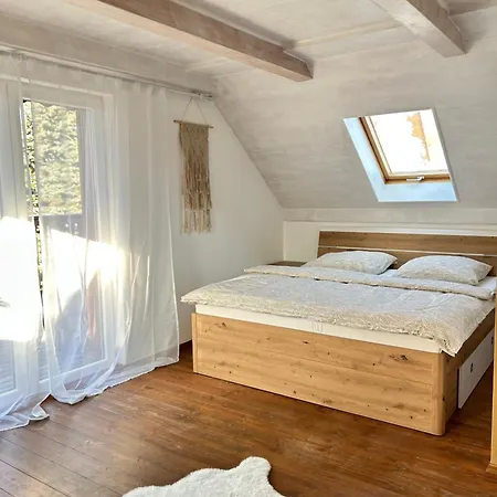Jesenicka Prehrada, U Vody Holiday home Cheb